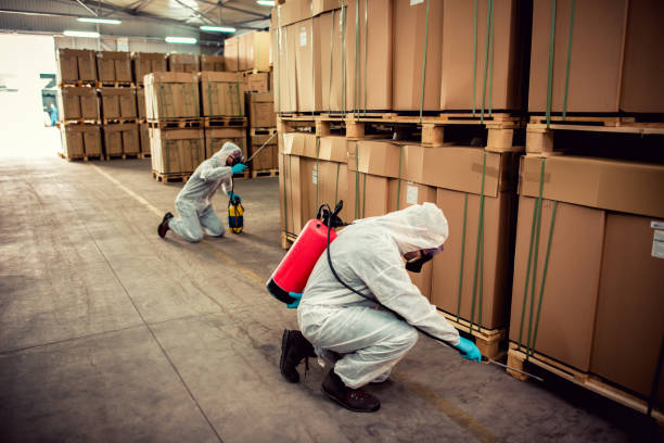 Best Affordable Pest Control Services  in Portola Valley, CA