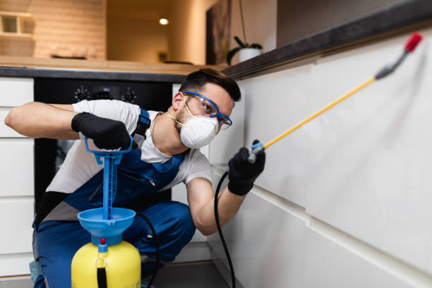 Best Best Pest Control Near Me  in Portola Valley, CA