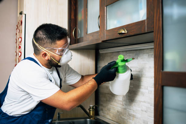 Best Best Pest Control Companies  in Portola Valley, CA