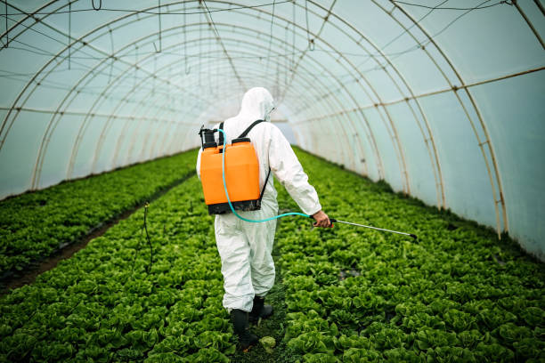 Best Local Pest Control Services  in Portola Valley, CA