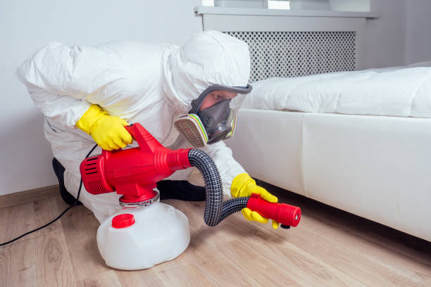 Best Affordable Pest Control Services  in Portola Valley, CA