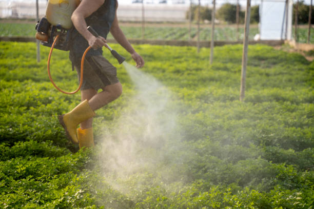 Best Insect Control  in Portola Valley, CA