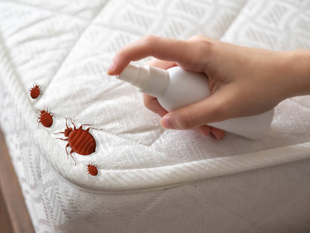 Flea Control Services in Portola Valley, CA